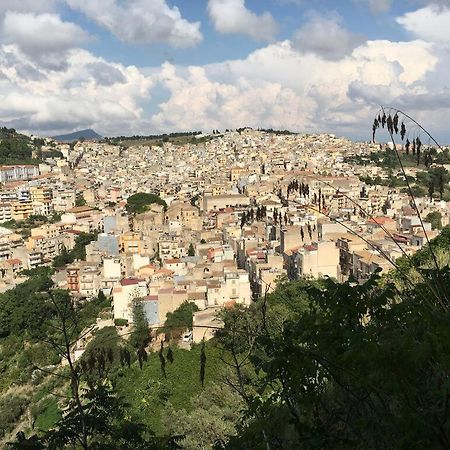 La Domus Di Segesta "Smart Solution" Apartment Calatafimi Bagian luar foto