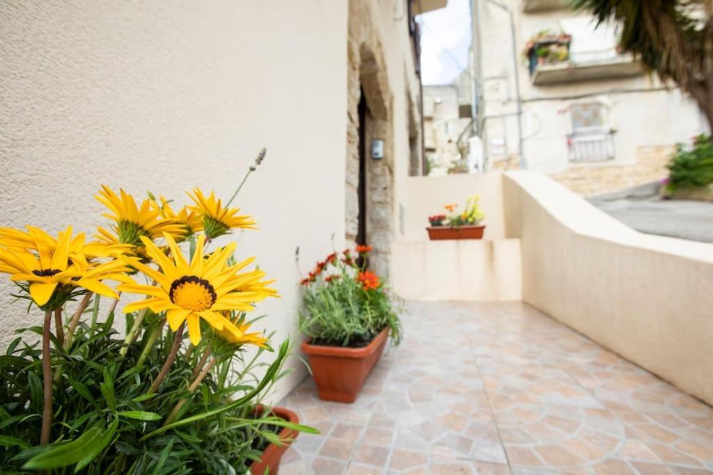 La Domus Di Segesta "Smart Solution" Apartment Calatafimi Bagian luar foto