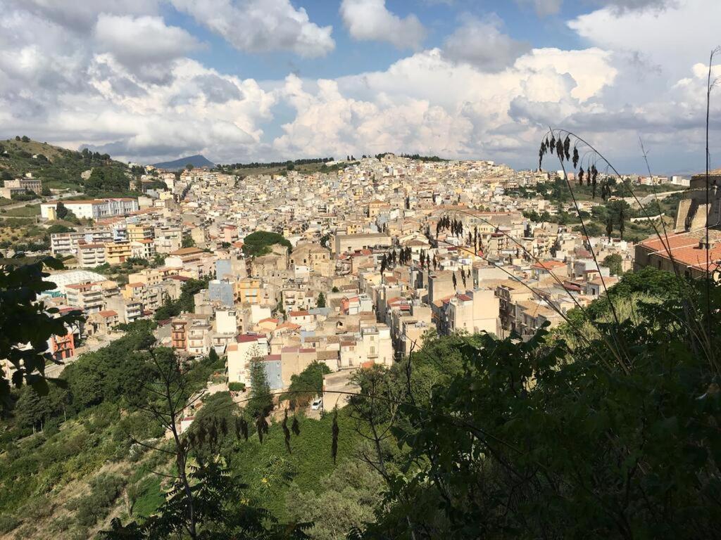 La Domus Di Segesta "Smart Solution" Apartment Calatafimi Bagian luar foto
